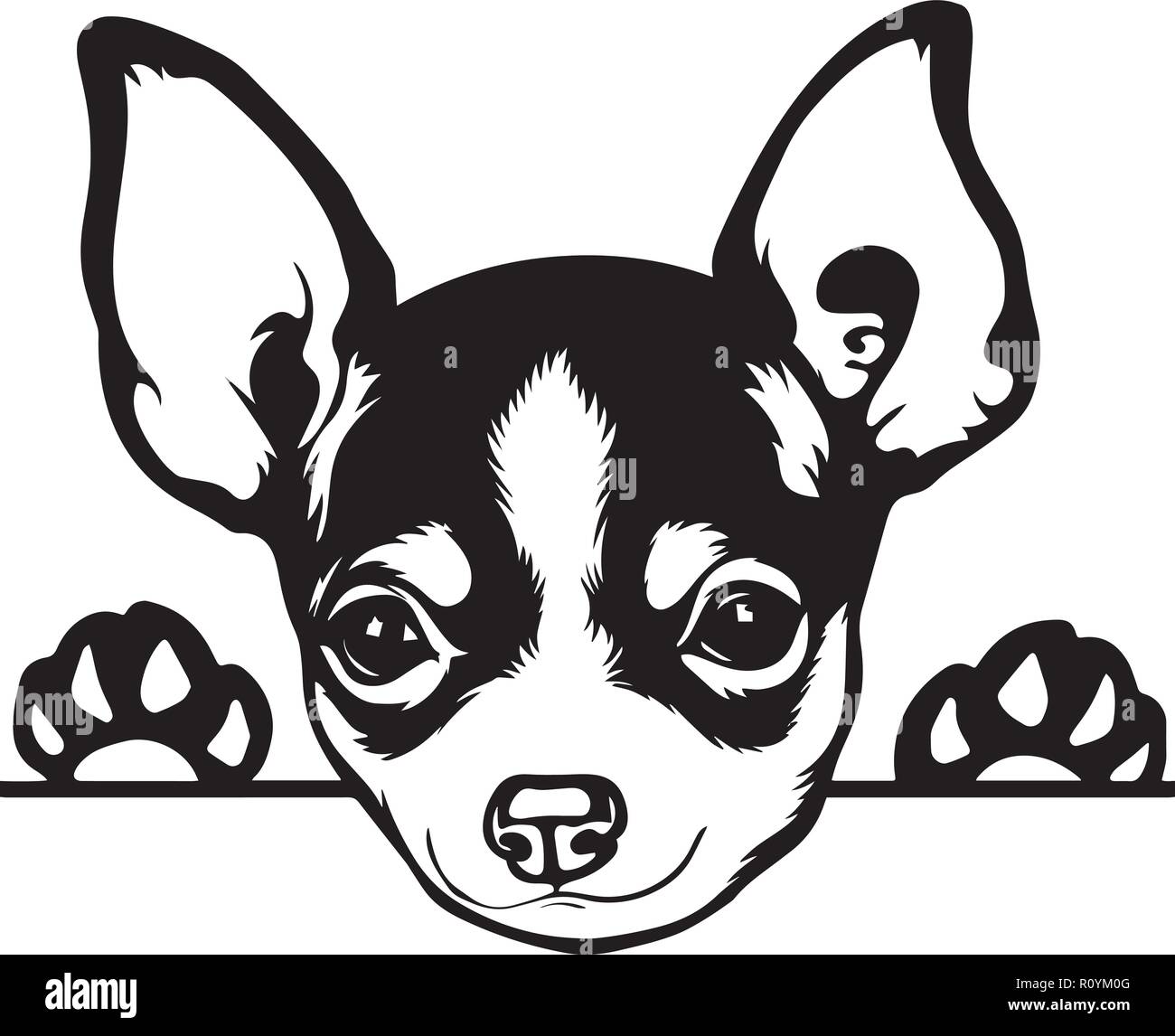 Chihuahua dog cartoon illustration fotografías e imágenes de alta  resolución - Página 4 - Alamy