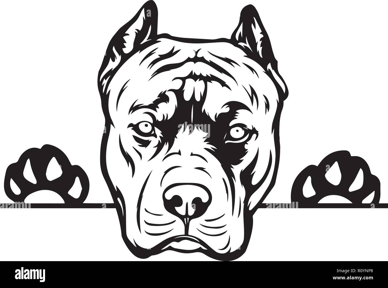 Pitbull Pedigree raza de perro jefe aislados retrato de mascota cachorro  feliz Sonriente Cara Animal Cartoon ilustración ilustraciones de arte  retrato bonito diseño Imagen Vector de stock - Alamy