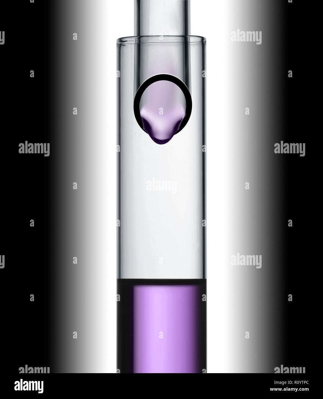 Tratamiento de belleza púrpura gota líquida cayendo desde un tubo de ensayo a otro, studio bodegón Foto de stock