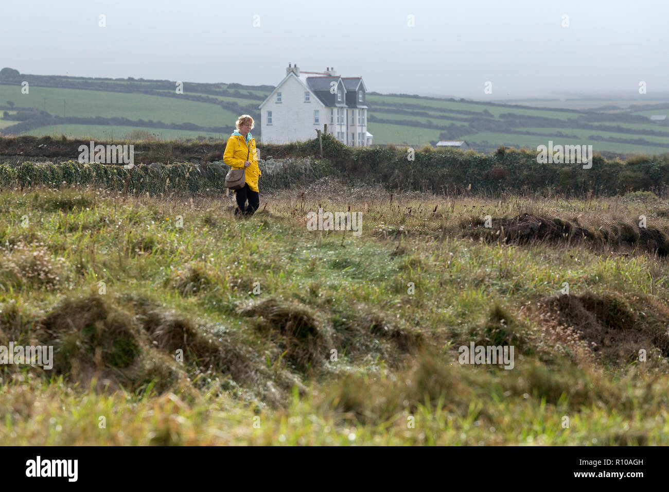 Mujer en South West Coast Path cerca de Tintagel, Cornwall, Inglaterra, Gran Bretaña Foto de stock