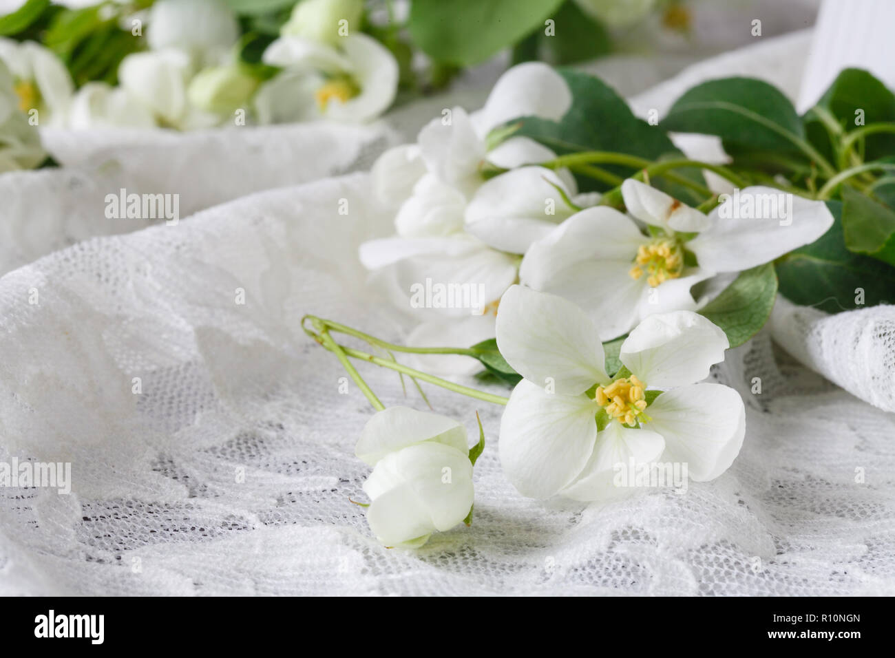 Elegante espacio femenino con flores blancas de manzano en florero. Todavía vida minimalista con estilo Fotografía de stock - Alamy Elegante espacio femenino con flores blancas de manzano en florero. Todavía vida minimalista con estilo Fotografía de stock - Alamy