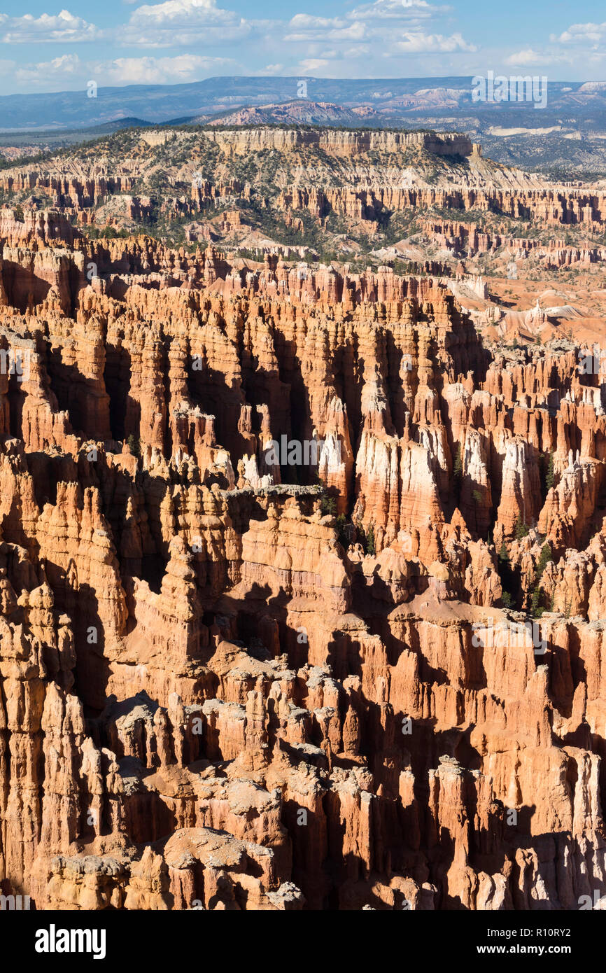Vista de formaciones hoodoo de Navajo Loop Trail en Bryce Canyon National Park, Utah, EE.UU.. Foto de stock