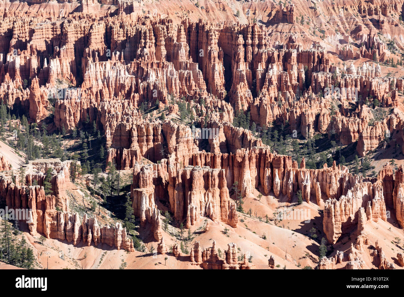 Vista de hoodoo formaciones en el anfiteatro en el Parque Nacional de Bryce Canyon, Utah, EE.UU.. Foto de stock