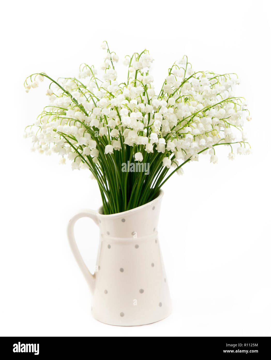 Bouquet de flores blancas el lirio del valle (Convallaria majalis), también llamado: Mayo de campanas, Nuestra Señora de las lágrimas y las lágrimas de María en una jarra de puntos blancos shap Foto de stock