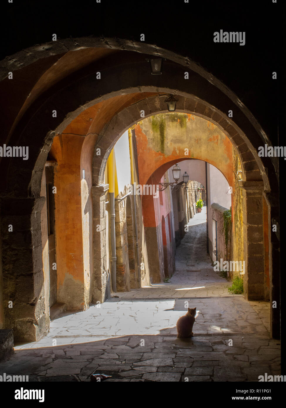 Característico callejón cubierto en el pueblo medieval de Tuscania (Italia) con un gato con retroiluminación. Foto de stock