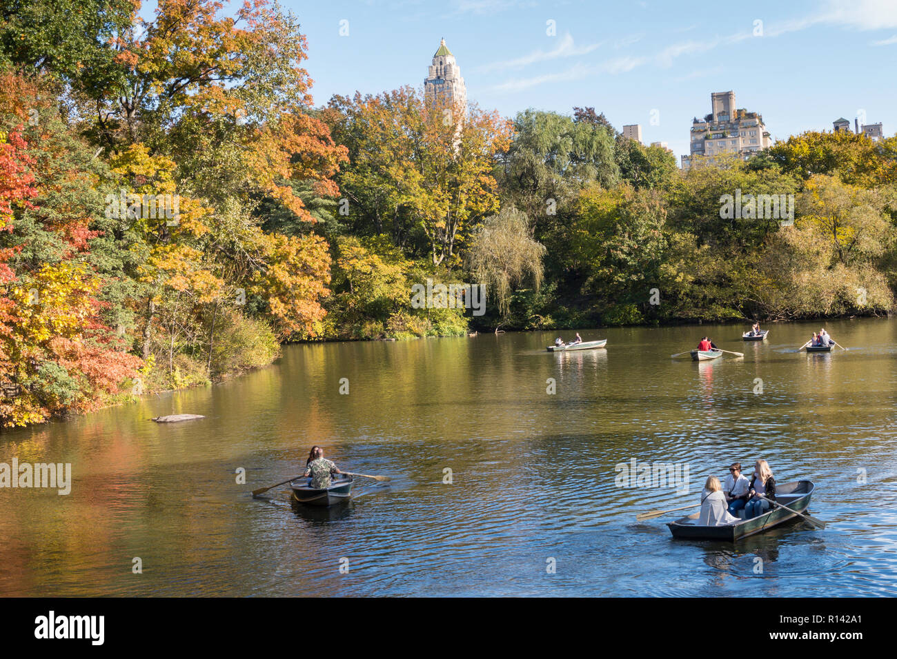 Botes de remo en el lago, en Central Park, Nueva York, EE.UU. Foto de stock