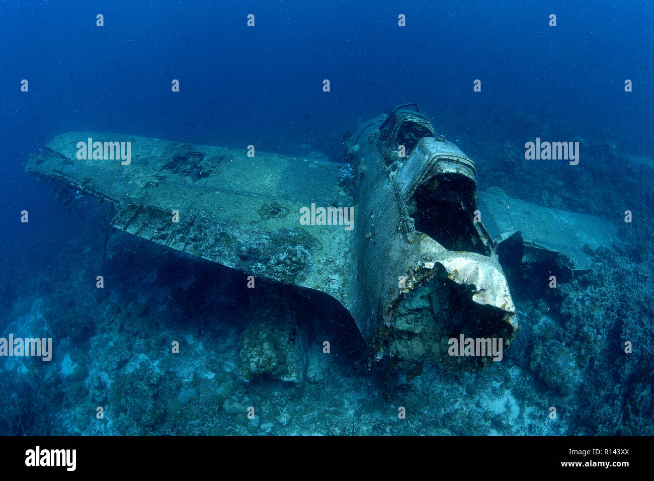 Un americano Zerofighter de WW II en los fondos marinos, Palau, Micronesia Foto de stock