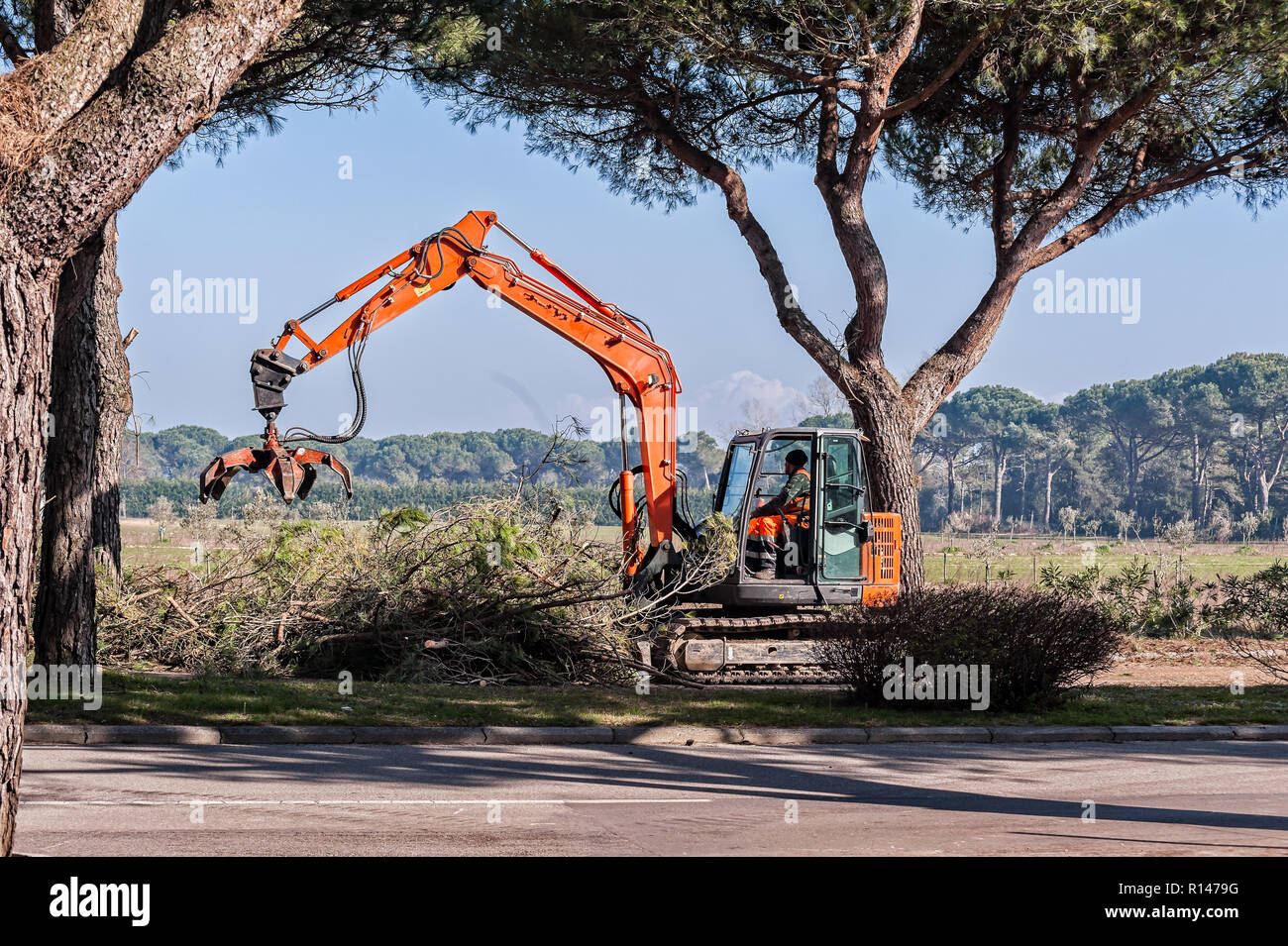 Bibione, Italia - 08 de marzo de 2018 : Los trabajadores y las máquinas de poda de árboles antes del inicio de la temporada turística. Foto de stock