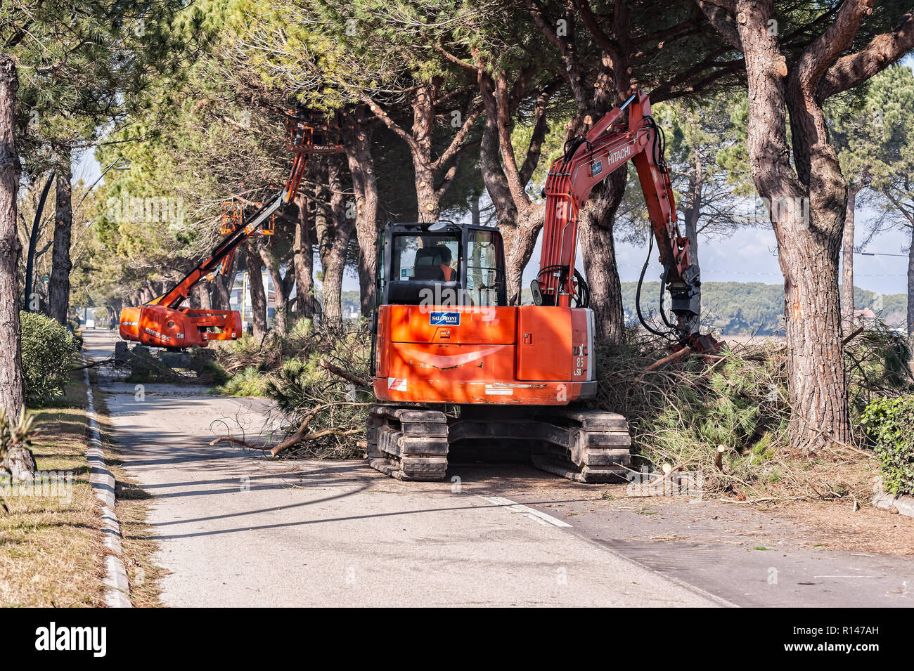 Bibione, Italia - 08 de marzo de 2018 : Los trabajadores y las máquinas de poda de árboles antes del inicio de la temporada turística. Foto de stock