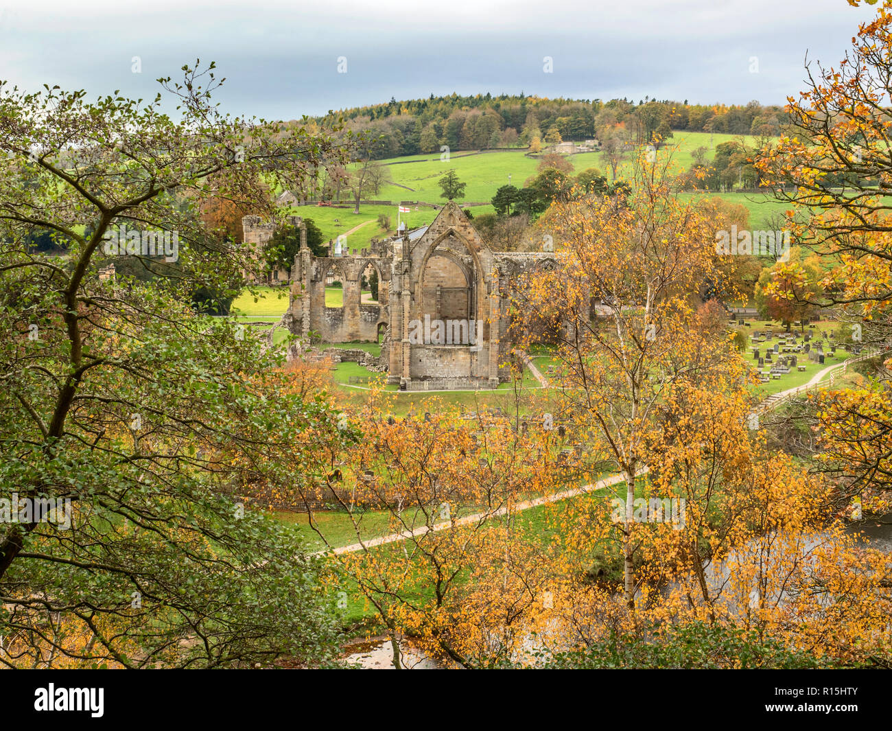 Las ruinas del convento de Bolton desde un punto de vista a través del río Wharfe en otoño en Bolton Abbey Yorkshire Dales Inglaterra Foto de stock