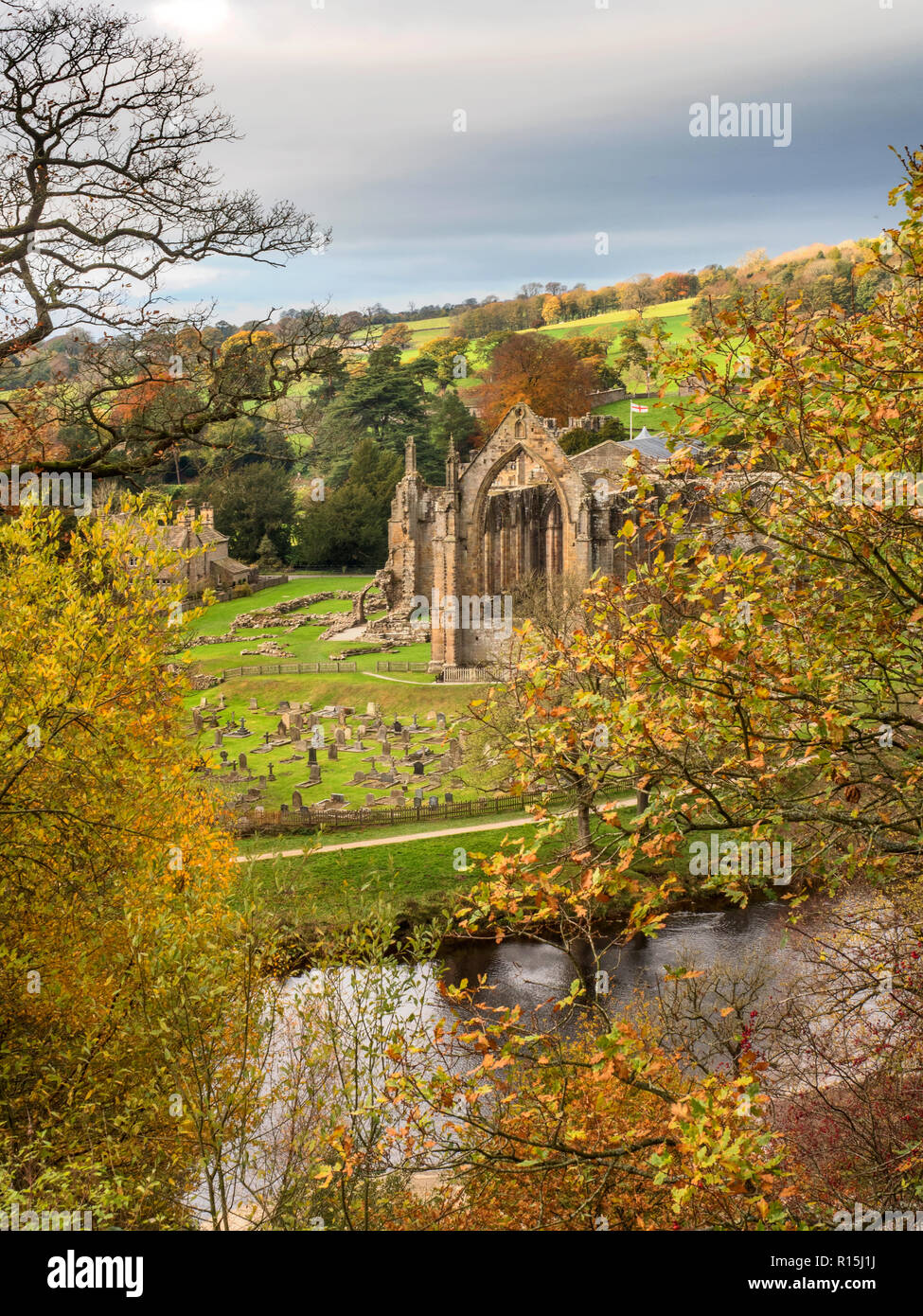 Las ruinas del convento de Bolton desde un punto de vista a través del río Wharfe en otoño en Bolton Abbey Yorkshire Dales Inglaterra Foto de stock