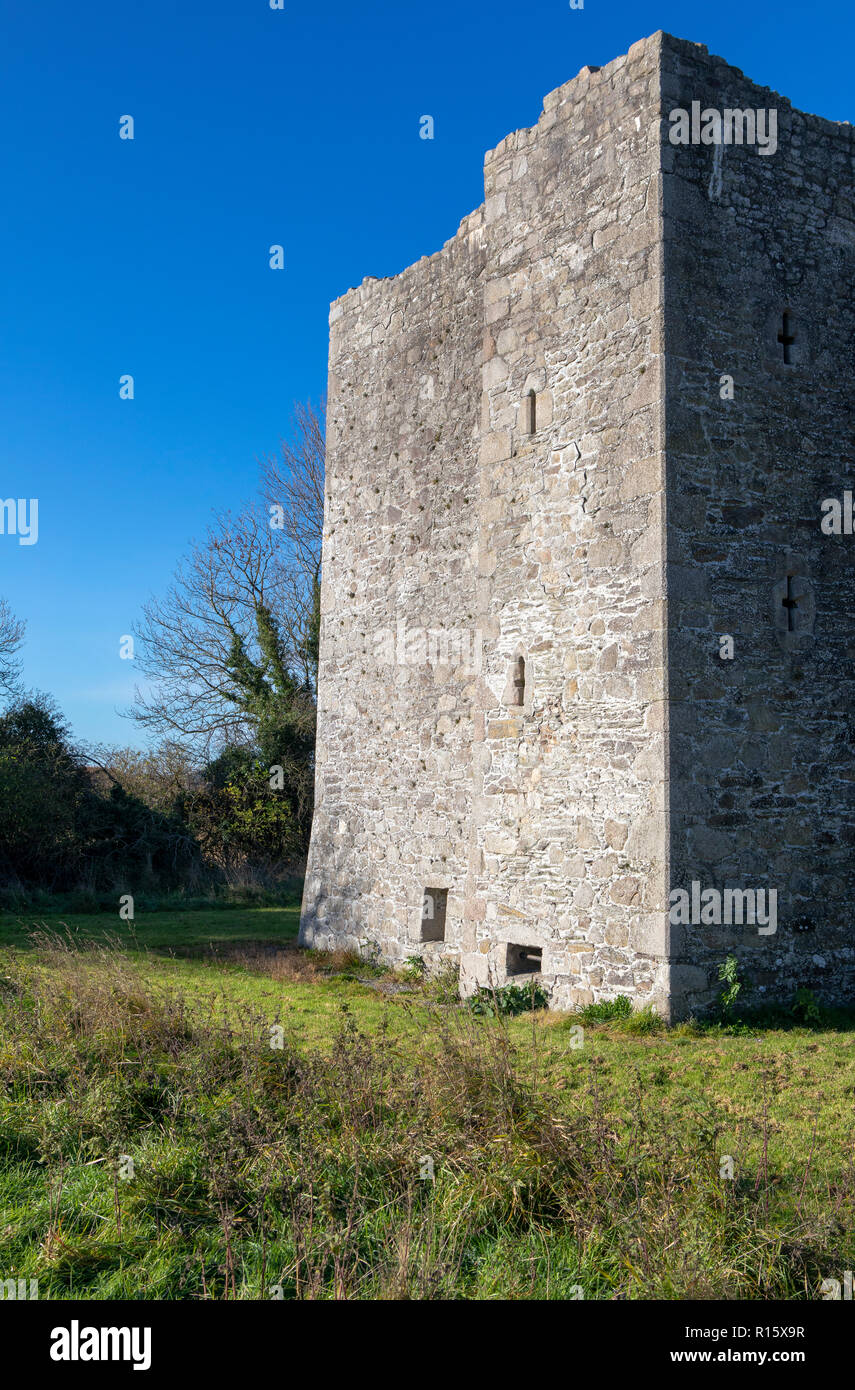 Casa Torre Threecastles, Blessington, Condado de Wicklow, Irlanda Foto de stock