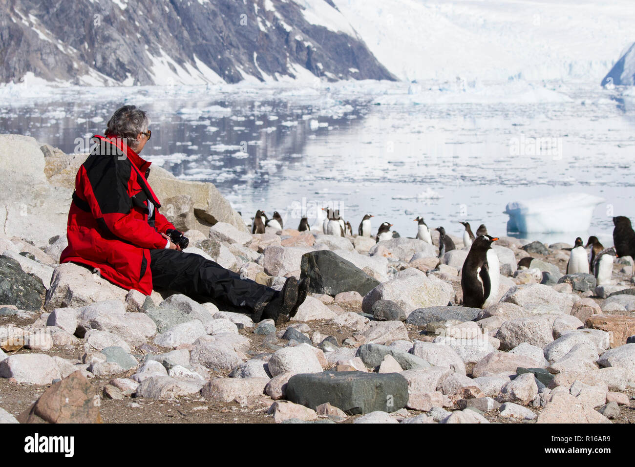 Turistas en la Antártida con los pingüinos en la Antártida paisaje. Foto de stock