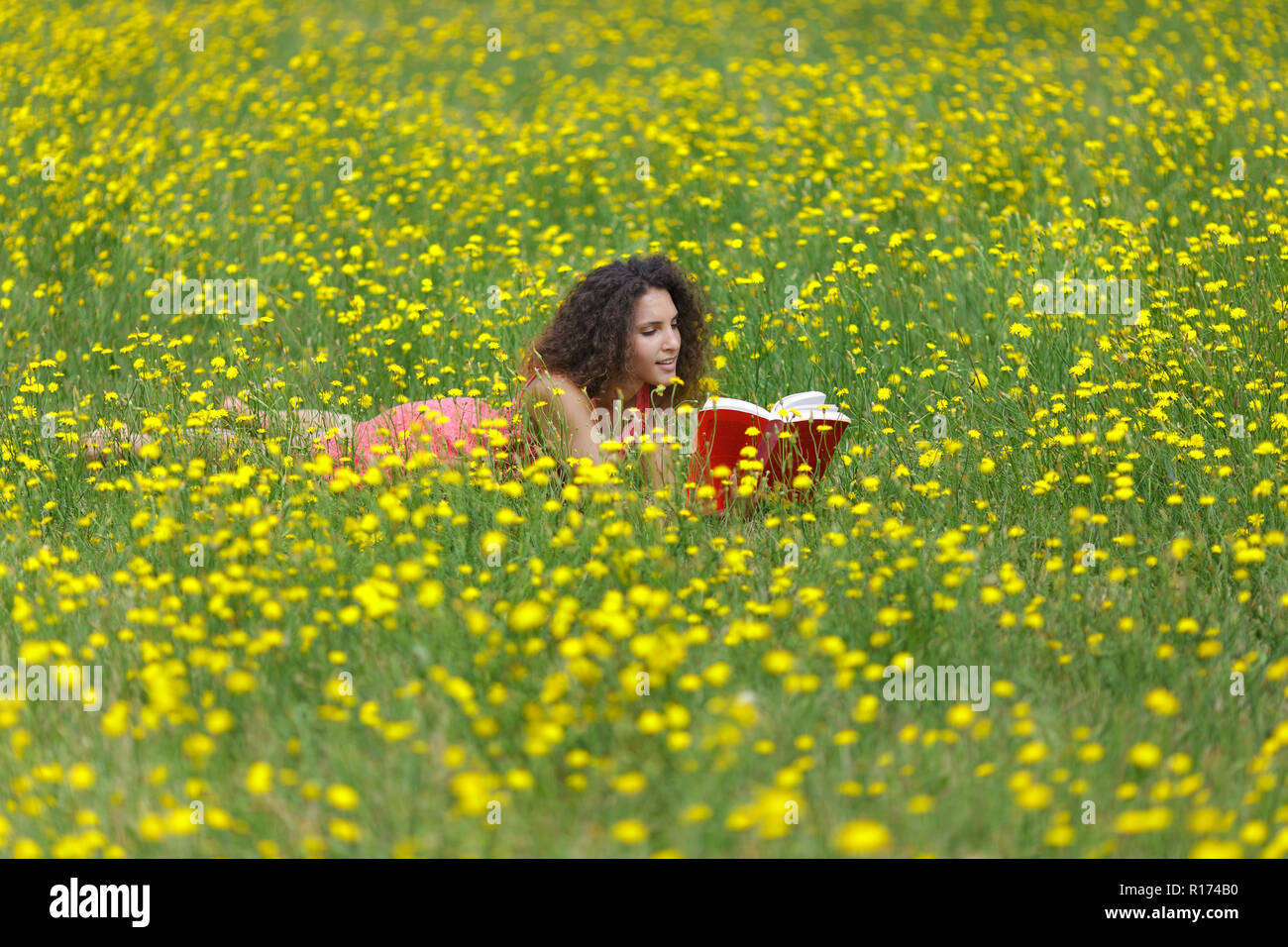 Linda mujer joven con cabello rizado acostado leyendo un libro en un wildflower meadow lleno de coloridas flores amarillas como ella se relaja en la tranquilidad Foto de stock
