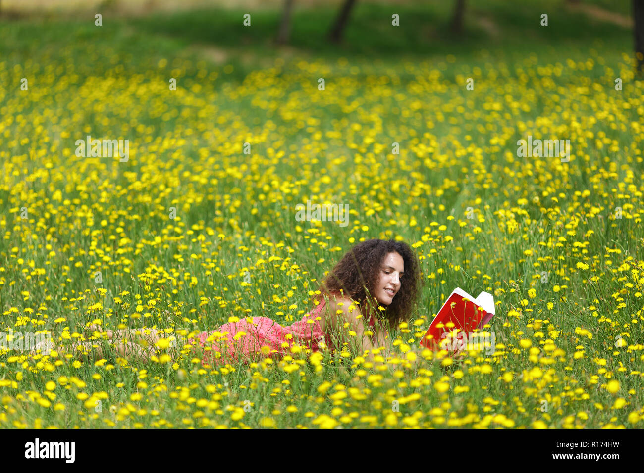 Linda mujer joven con cabello rizado acostado leyendo un libro en un wildflower meadow lleno de coloridas flores amarillas como ella se relaja en la tranquilidad Foto de stock