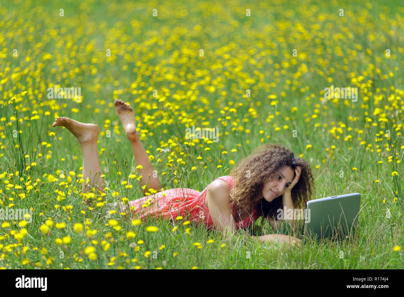 Linda mujer joven con cabello rizado acostado leyendo un libro en un wildflower meadow lleno de coloridas flores amarillas como ella se relaja en la tranquilidad Foto de stock