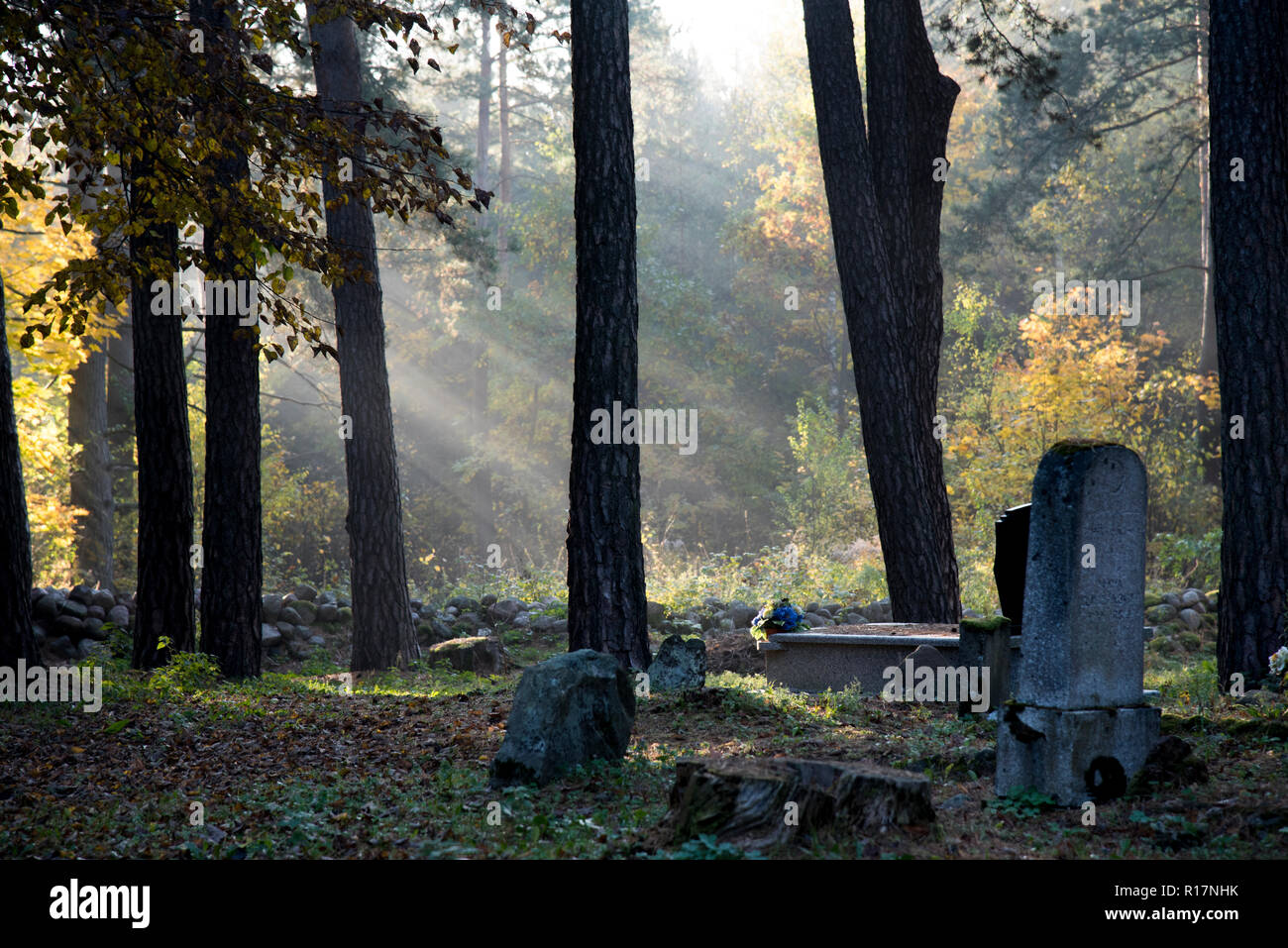 Cementerio musulmán Kruszyniany, sitio de entierro, el otoño, los árboles, la paz, el lugar de la adoración, la oración, lápidas Foto de stock