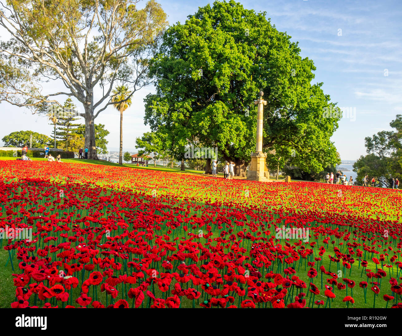 2018 Remembrance Day amapola mostrar Proyecto artesanal de amapola en el Parque Kings Perth Australia Occidental Foto de stock