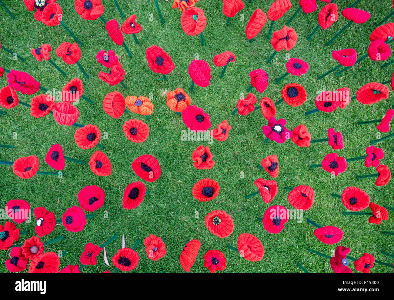 2018 Remembrance Day amapola mostrar Proyecto artesanal de amapola en el Parque Kings Perth Australia Occidental Foto de stock
