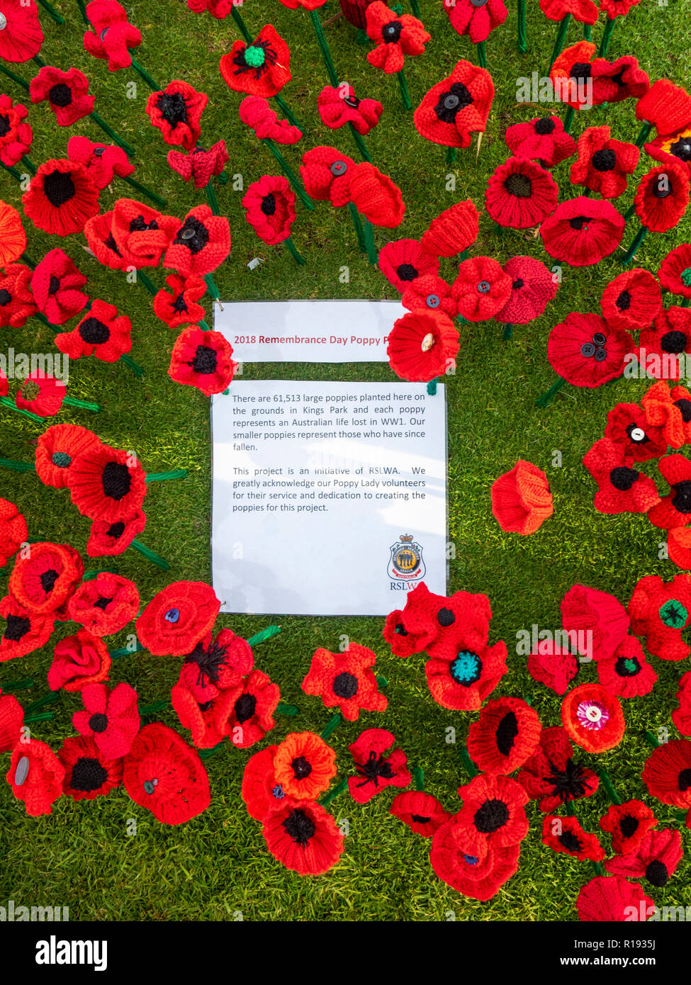2018 Remembrance Day amapola mostrar Proyecto artesanal de amapola en el Parque Kings Perth Australia Occidental Foto de stock