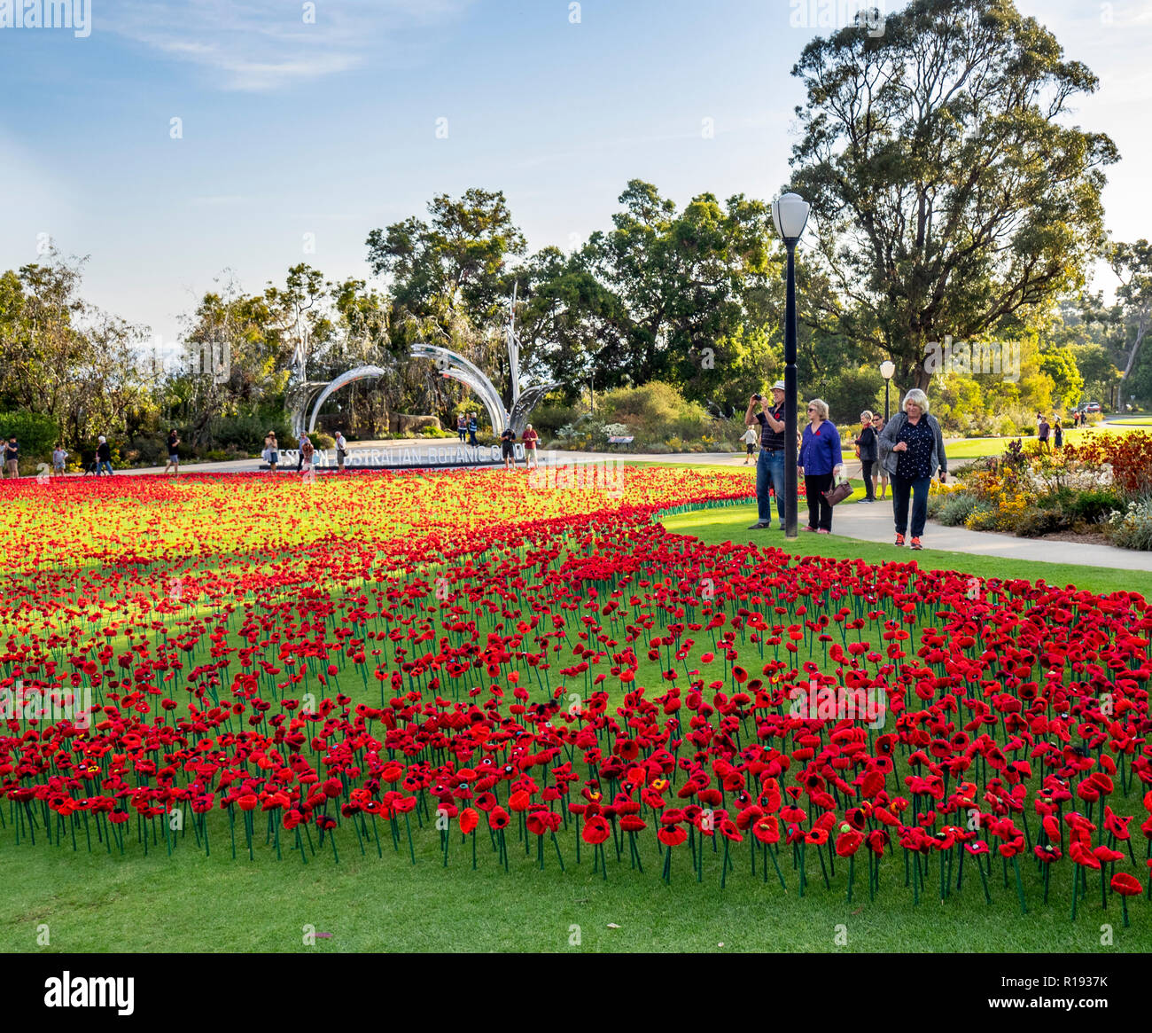 2018 Remembrance Day amapola mostrar Proyecto artesanal de amapola en el Parque Kings Perth Australia Occidental Foto de stock