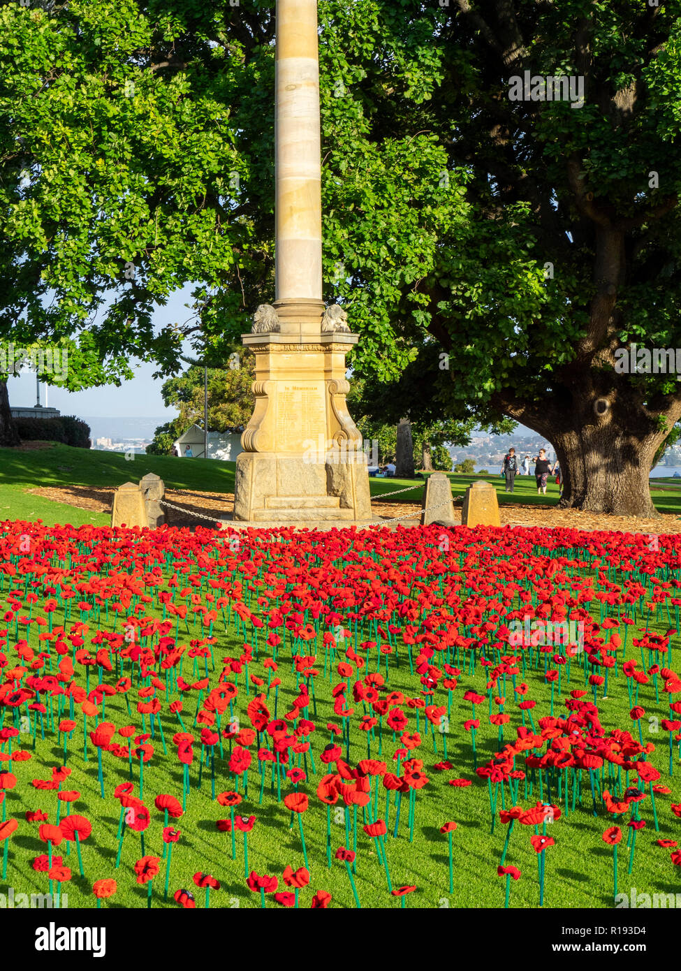 2018 Remembrance Day amapola mostrar Proyecto artesanal de amapola en el Parque Kings Perth Australia Occidental Foto de stock