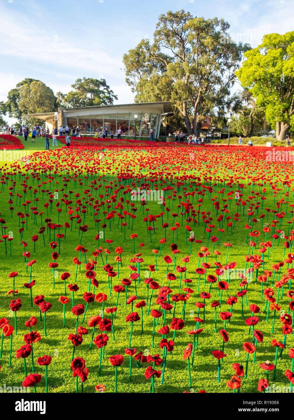2018 Remembrance Day amapola mostrar Proyecto artesanal de amapola en el Parque Kings Perth Australia Occidental Foto de stock