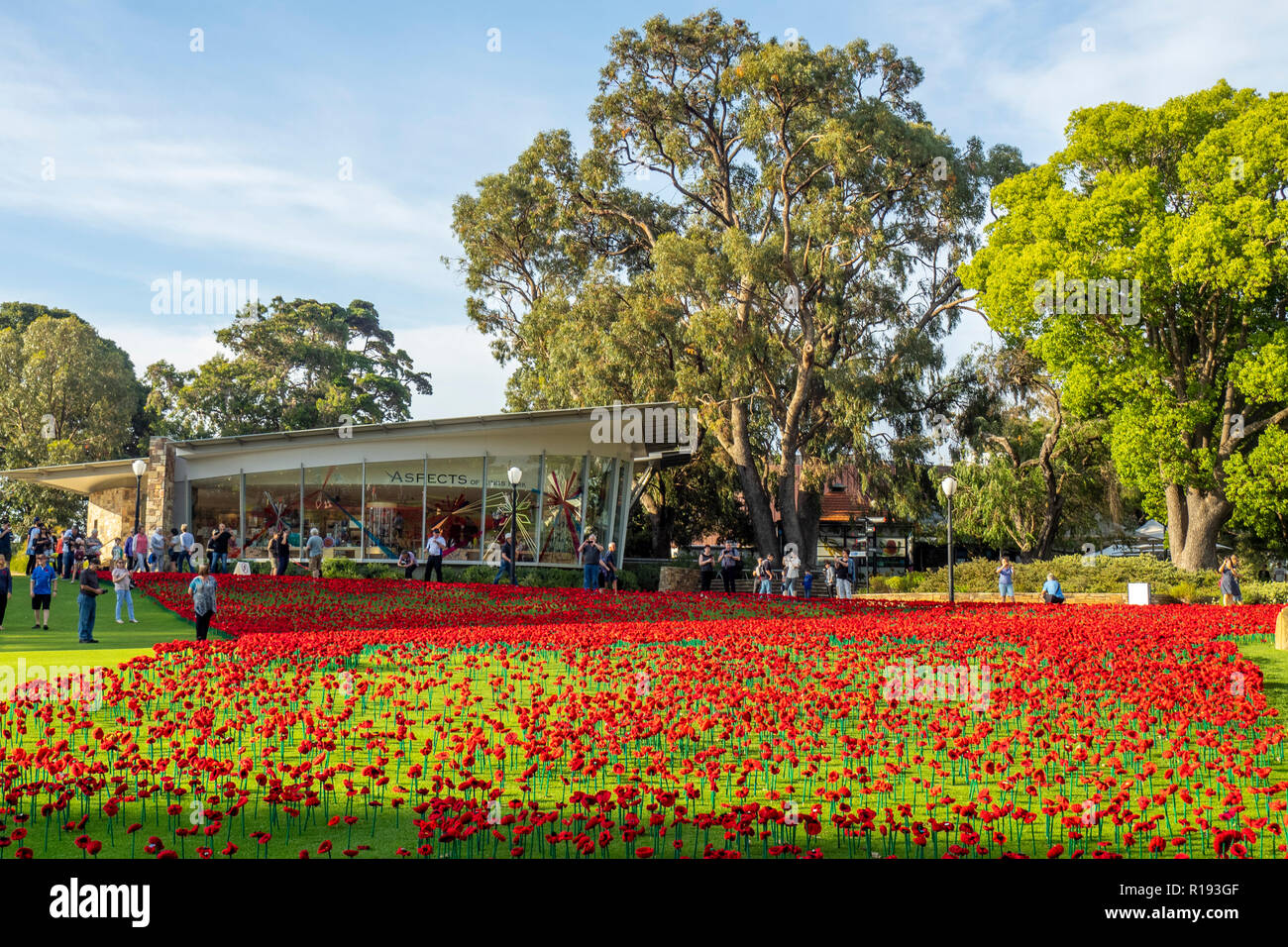 2018 Remembrance Day amapola mostrar Proyecto artesanal de amapola en el Parque Kings Perth Australia Occidental Foto de stock
