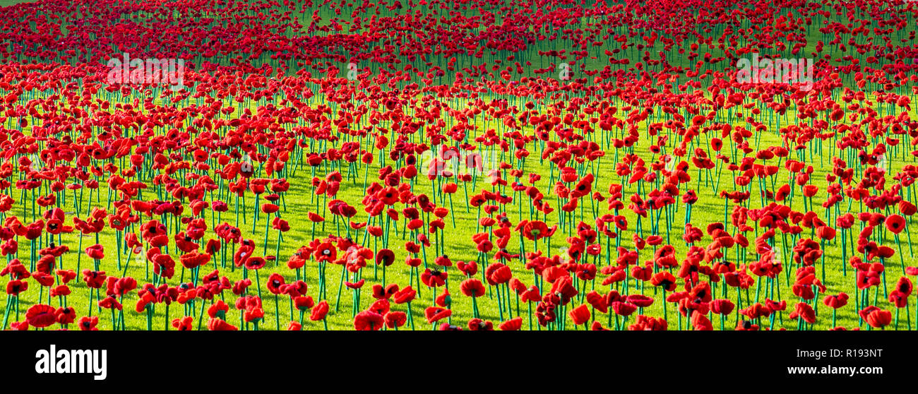 2018 Remembrance Day amapola mostrar Proyecto artesanal de amapola en el Parque Kings Perth Australia Occidental Foto de stock