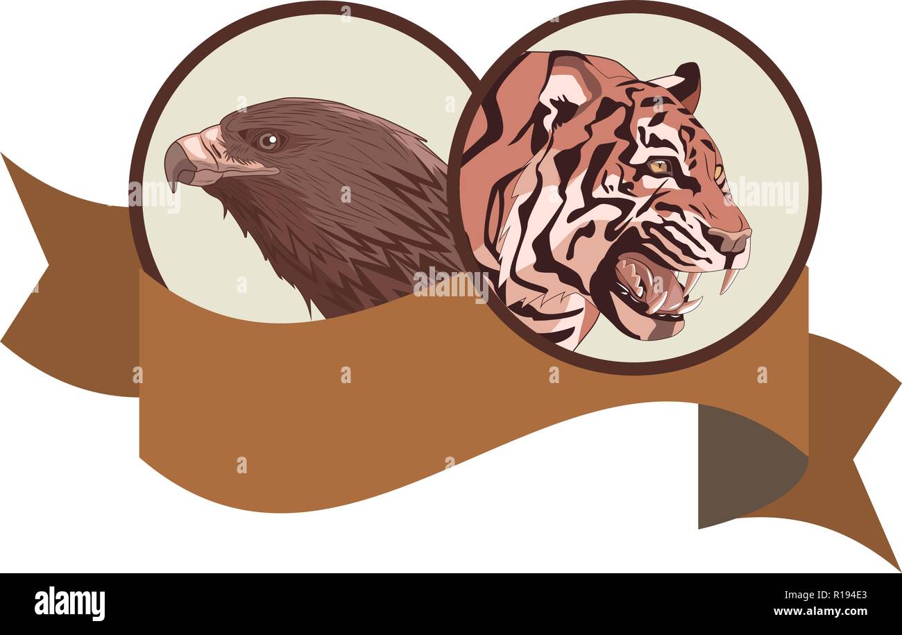 Tigre con cara de águila icono redondo con cinta cartoon ilustración  vectorial diseño gráfico Imagen Vector de stock - Alamy