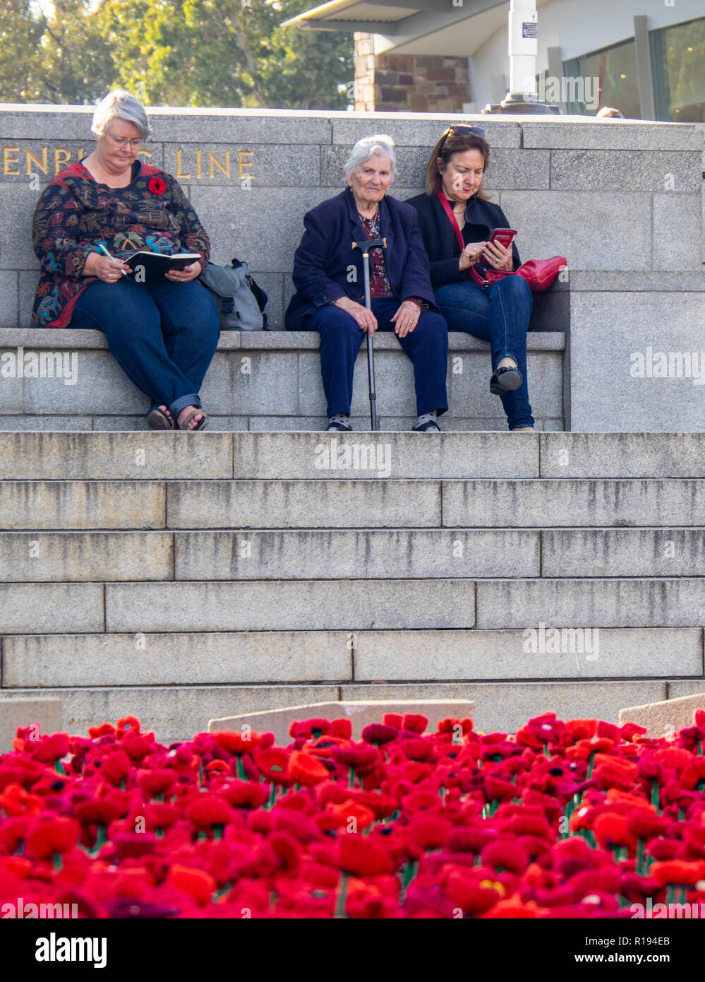 2018 Remembrance Day amapola mostrar Proyecto artesanal de amapola en el Parque Kings Perth Australia Occidental Foto de stock