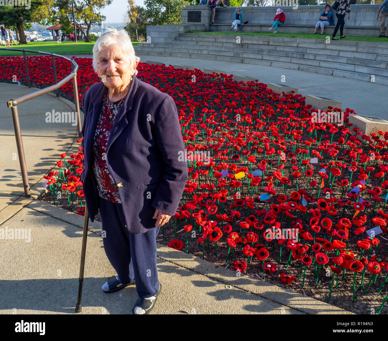 2018 Remembrance Day amapola mostrar Proyecto artesanal de amapola en el Parque Kings Perth Australia Occidental Foto de stock
