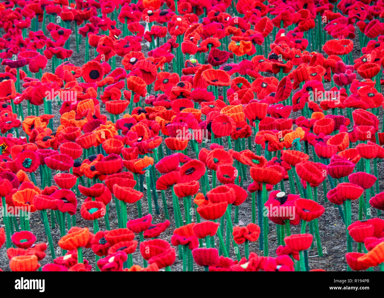 2018 Remembrance Day amapola mostrar Proyecto artesanal de amapola en el Parque Kings Perth Australia Occidental Foto de stock