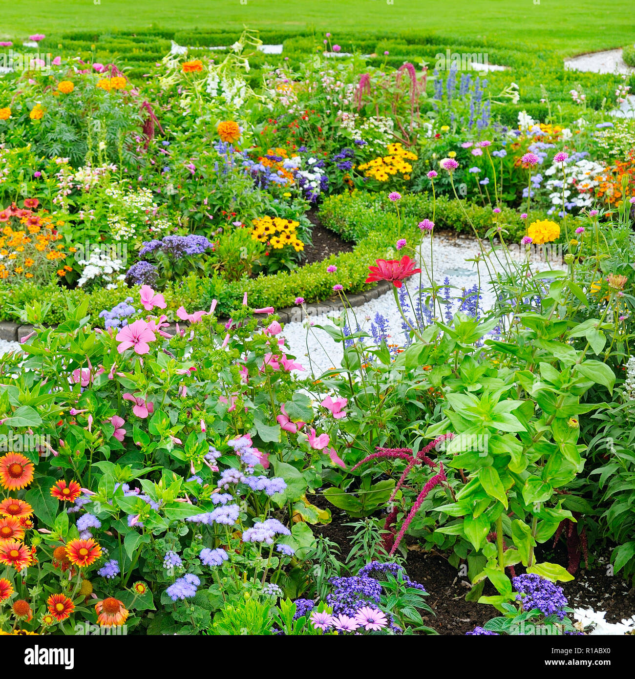 Cama de flores de verano y verde césped Foto de stock