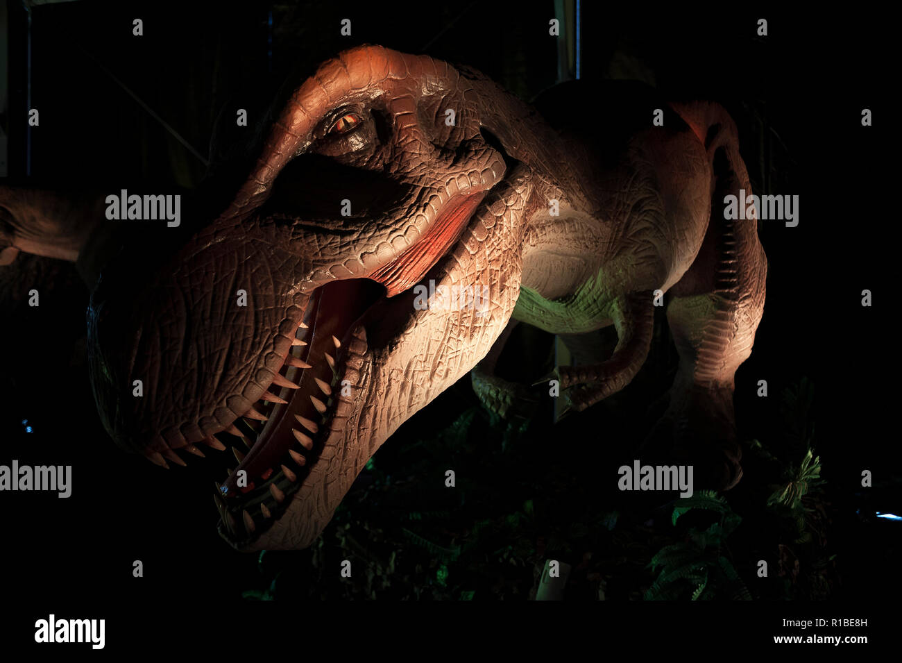 Una gran réplica de un dinosaurio es visto durante la Expo DINO XXL. Esta  exposición está dividida en dos períodos (edad de los dinosaurios y la edad  de hielo), con más de