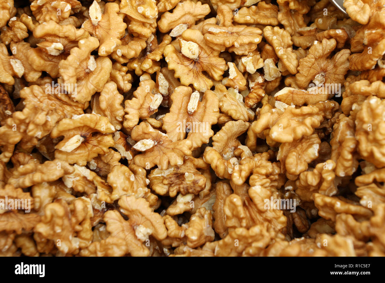 Fotograma completo de materias orgánicas peladas nueces. Walnut textura