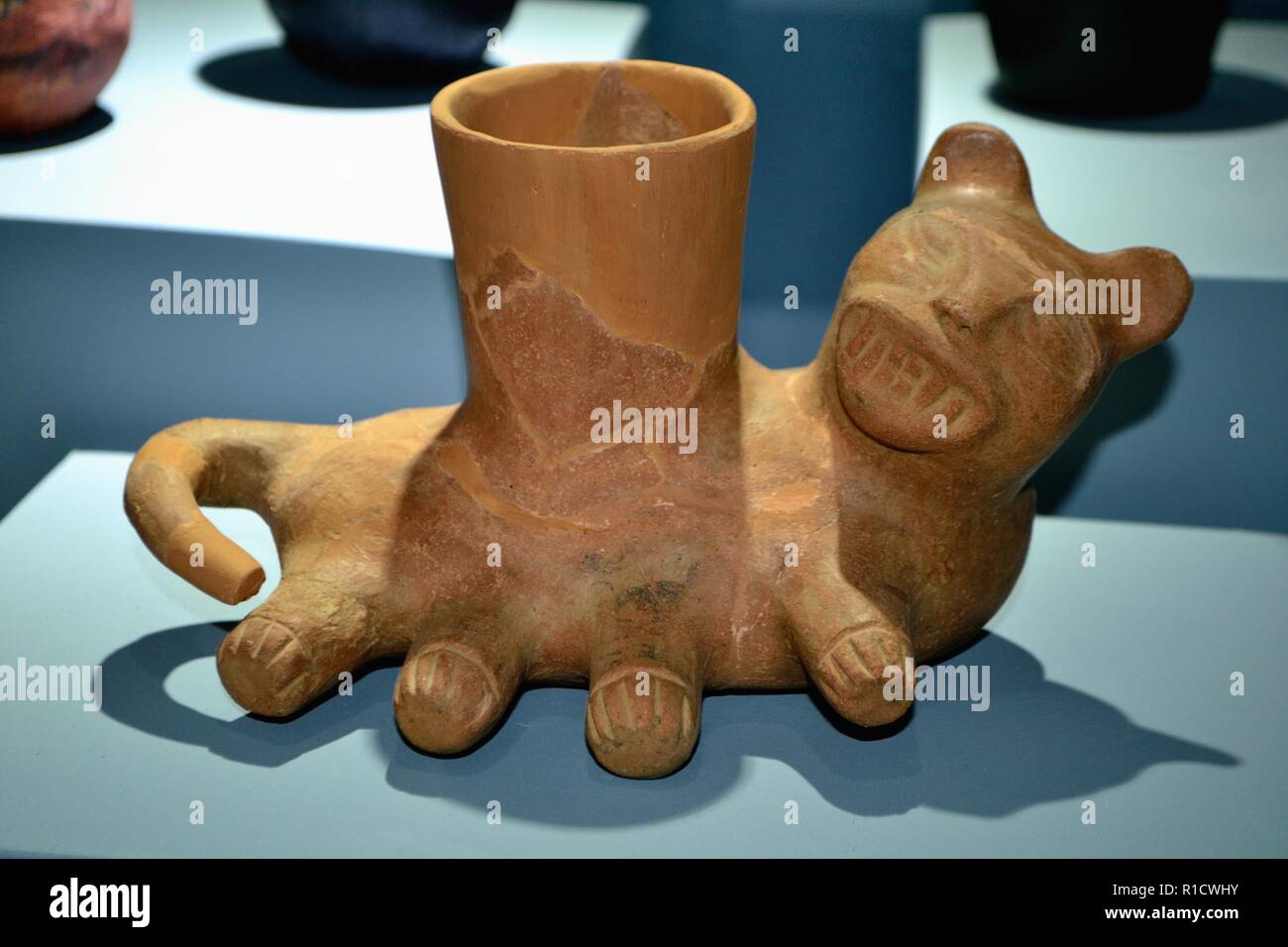 Jaguar pertenecientes al entierro Ichic Willcahuain Museo