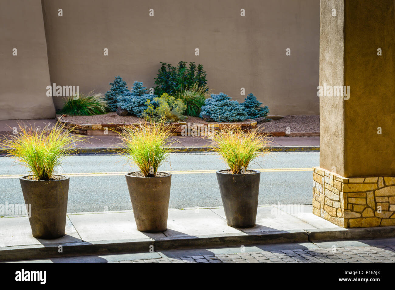 Maceteros de cemento fotografías e imágenes de alta resolución - Alamy