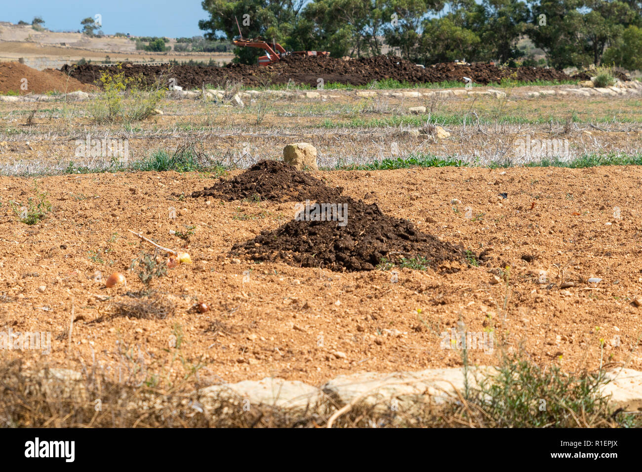 Abono en un campo listo para mezclar para acelerar el crecimiento de las  plantas. Preparar el campo para los cultivos de invierno. Vista lateral  horizontal Fotografía de stock - Alamy