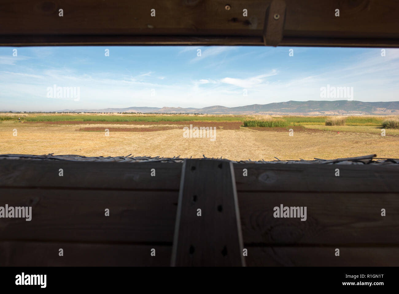 El mirador de aves en las Tablas de Daimiel, Ciudad Real, España Fotografía  de stock - Alamy
