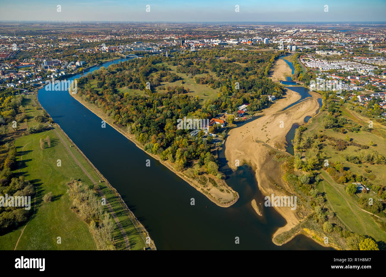 Los ríos Elba y Alte Elbe en marea baja, una rama seca, la escasez de agua, Magdeburgo, Sajonia-Anhalt, Alemania Foto de stock