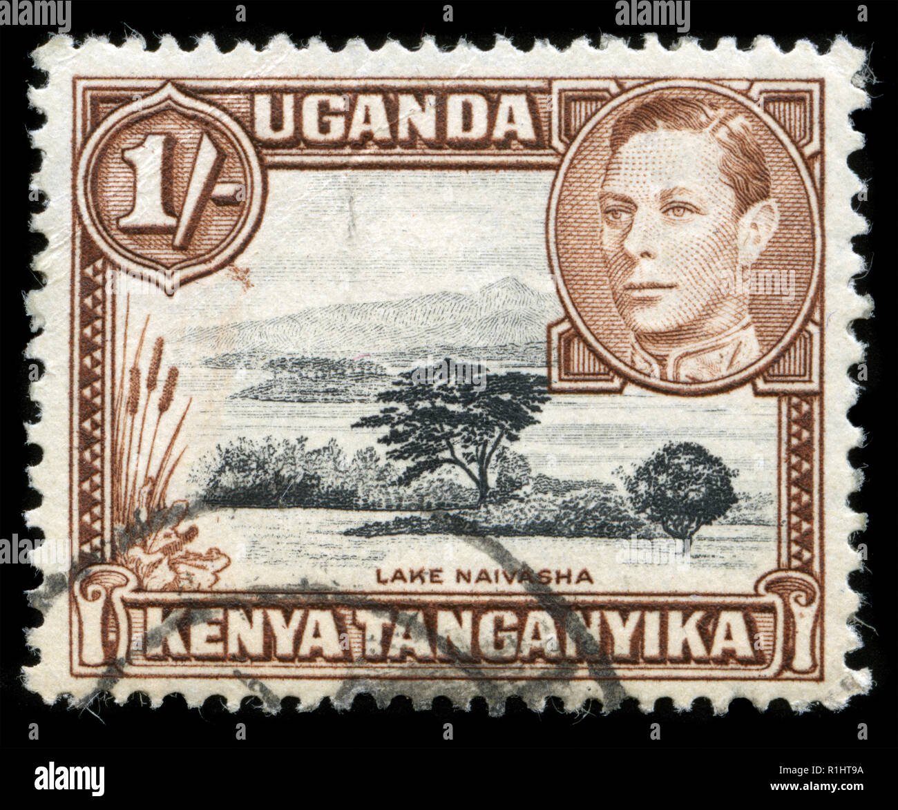 Sellos de British East Africa (Kenya, Uganda, Tanganika) en el King George VI serie Foto de stock