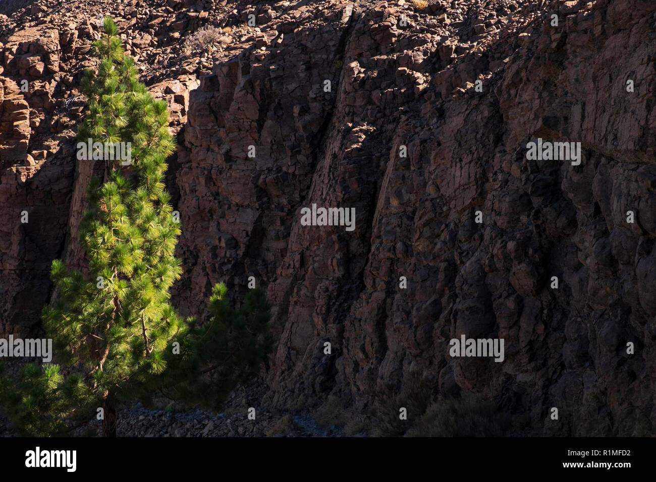 Formaciones de roca volcánica a lo largo de la ruta 31 de Guajara en el Las Canadas del parque nacional del Teide, Tenerife, Islas Canarias, España Foto de stock