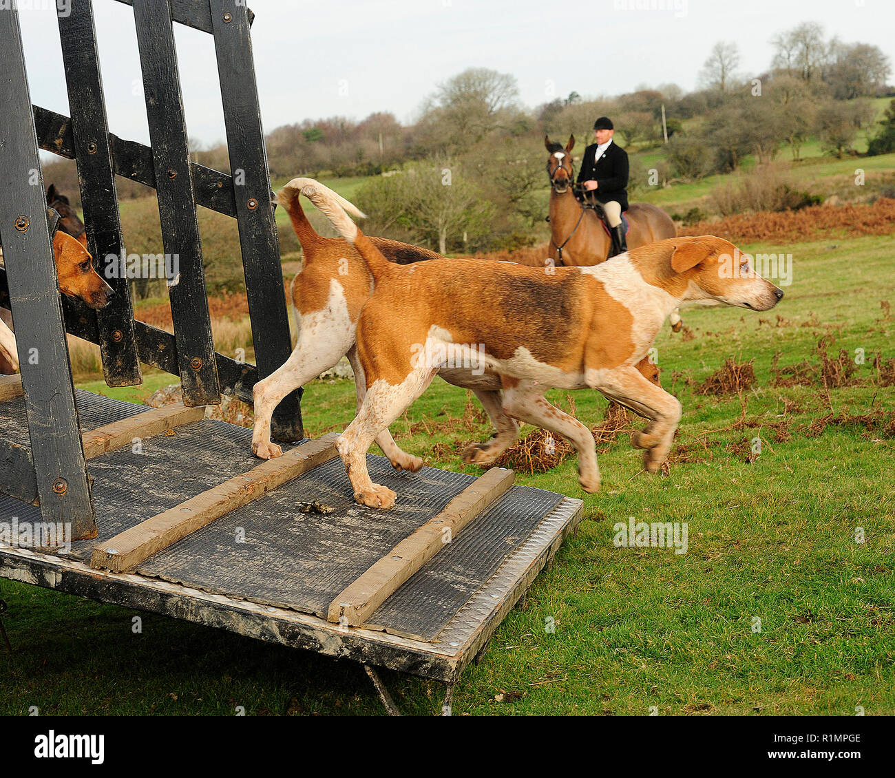 Huntsman y sus foxhounds Foto de stock