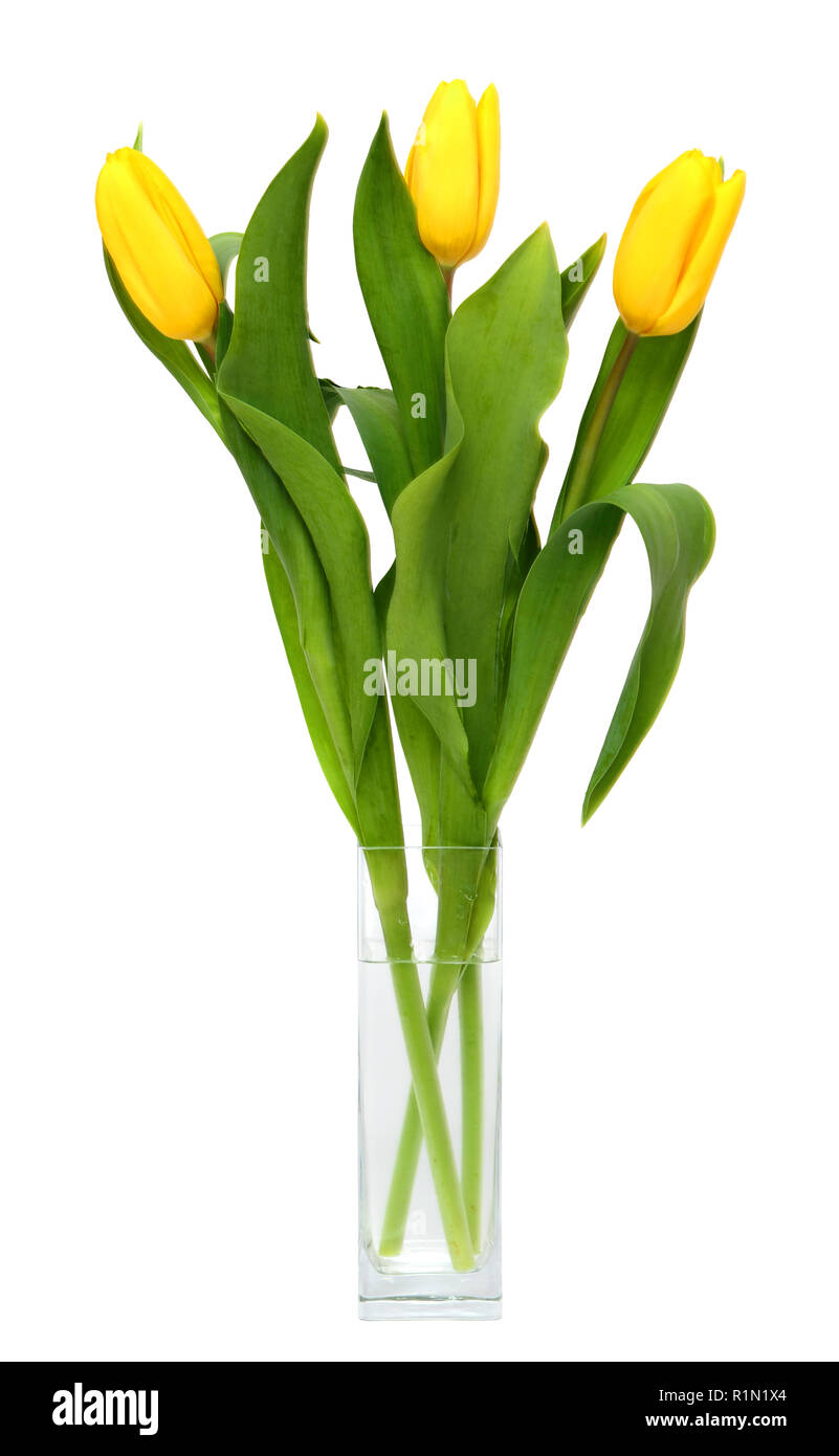 Objetos de color amarillos Imágenes recortadas de stock - Alamy