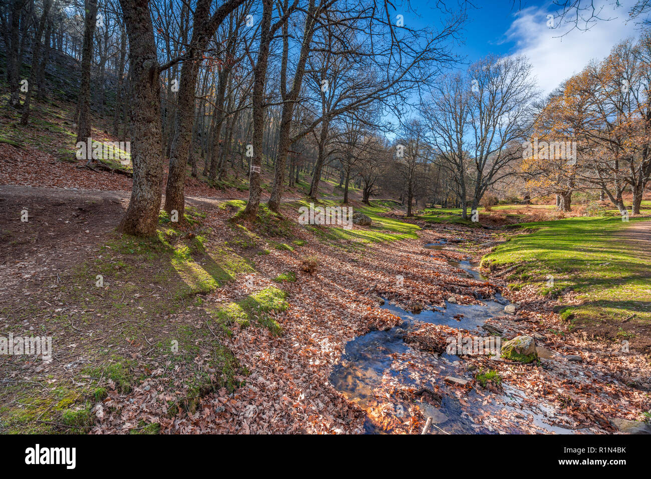 Foto de Parque de la Naturaleza en Constanzana, Ávila