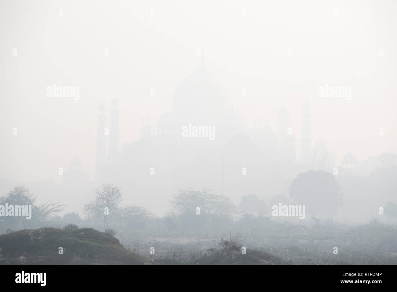 Taj Mahal, la maravilla del mundo y orgullo de la India en invierno niebla matutina con alguna vegetación en primer plano formando a ser un símbolo del amor Foto de stock