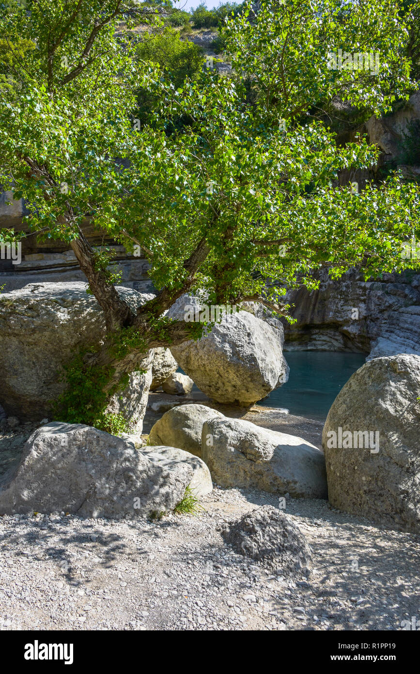 Idilio con árboles y rocas en el Riverside, gargantas de la Méouge, Provenza, Francia Foto de stock