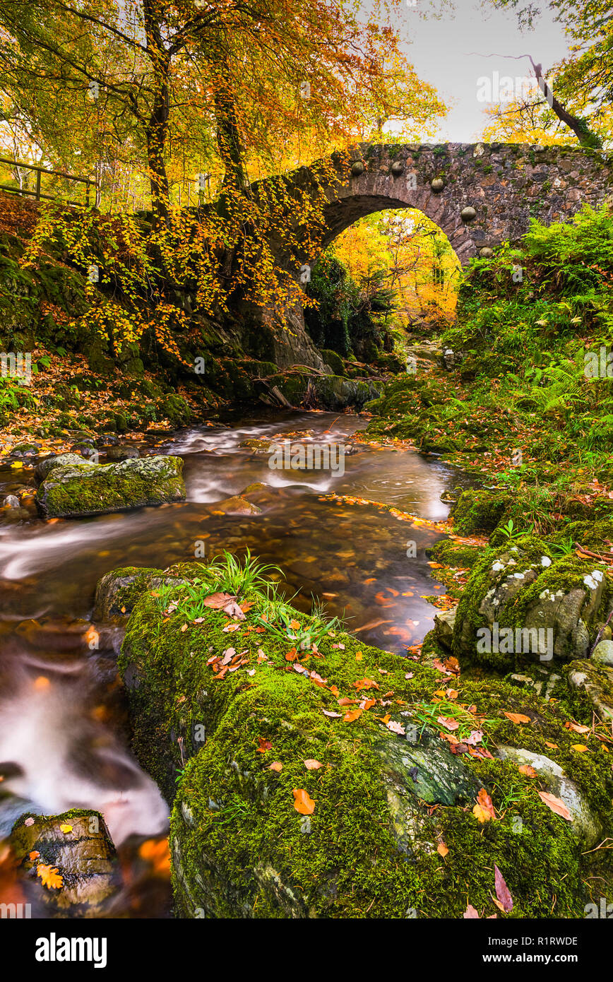Puente Tullymore Folys dentro del Parque Forestal en otoño. Foto de stock