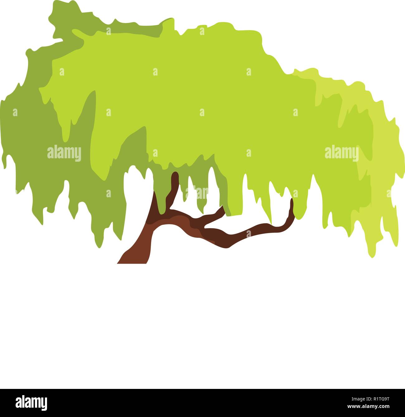 Icono del árbol de sauce. Ilustración plana de sauce icono vectorial
